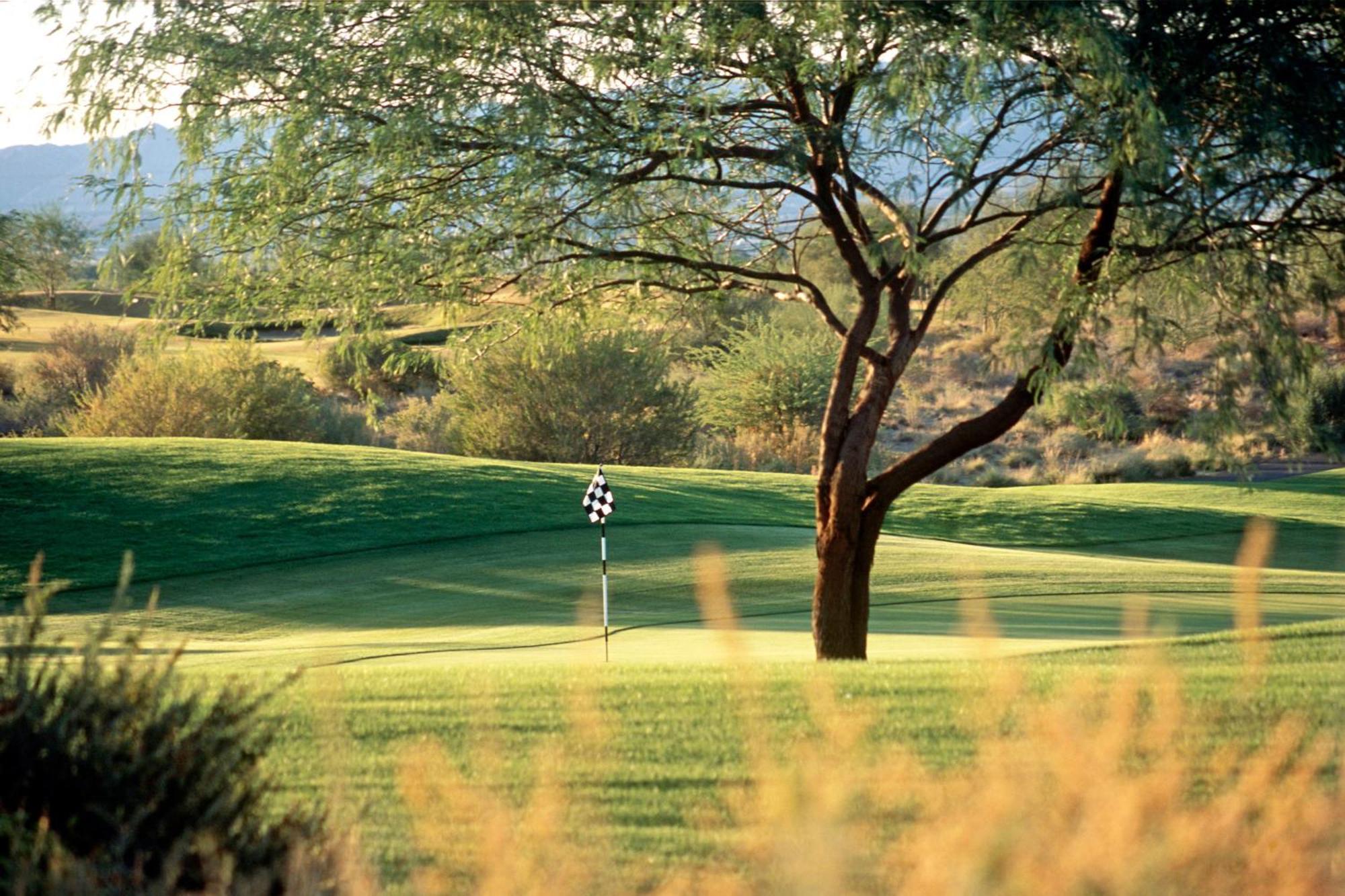 Sheraton Grand At Wild Horse Pass Chandler Exterior photo